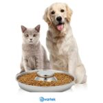 Pet'Adore Stainless Steel Puppy Feeding Bowl - 1.5 Litre - Image 2