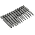 10Pcs Magnetic Torx Screwdriver Bits T5/T6/T7/T8/T9/T10/T15/T20/T25/T27/T30/T40 1/4 Inch Hex Shank Screwdriver Set for Bosch